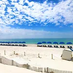 Pelican Walk 309